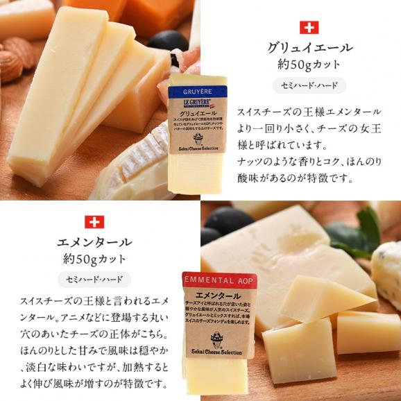 世界8か国10種のチーズ アソート 約50g×10種セット［冷蔵のみ］【3～4営業日以内に出荷】【送料無料】05