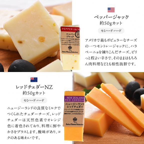 世界8か国10種のチーズ アソート 約50g×10種セット［冷蔵のみ］【3～4営業日以内に出荷】【送料無料】06