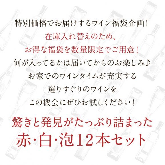 ワイン福袋（パーティーセット赤5本・白5本・泡2本　12本セット）［常温］【3〜4営業日以内に出荷】【送料無料】[W][WT71] ワイン 飲み比べ 福袋02