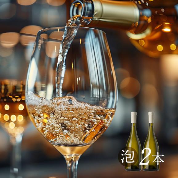 ワイン福袋（パーティーセット赤5本・白5本・泡2本　12本セット）［常温］【3〜4営業日以内に出荷】【送料無料】[W][WT71] ワイン 飲み比べ 福袋05