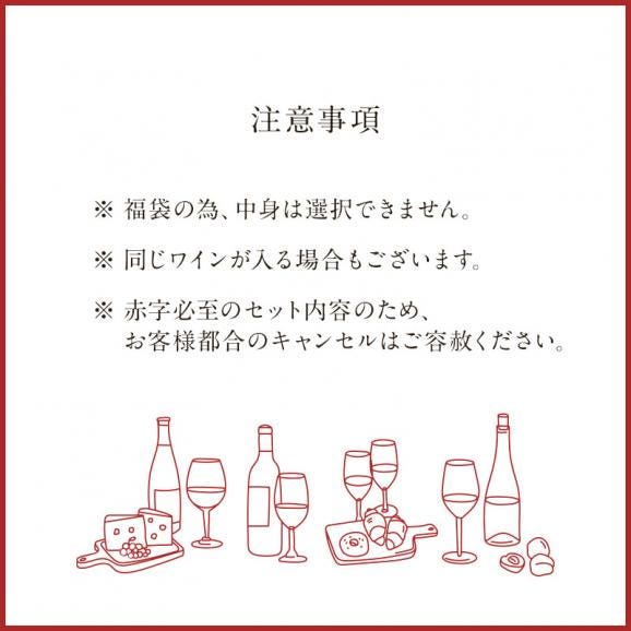 ワイン福袋（パーティーセット赤5本・白5本・泡2本　12本セット）［常温］【3〜4営業日以内に出荷】【送料無料】[W][WT71] ワイン 飲み比べ 福袋06