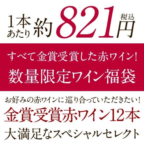 ワイン福袋（金賞赤ワイン12本セット）WT72［常温］【3〜4営業日以内に出荷】【送料無料】[W][WT72] ワイン 飲み比べ 福袋02