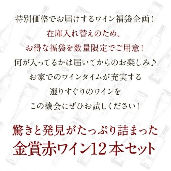ワイン福袋（金賞赤ワイン12本セット）WT72［常温］【3〜4営業日以内に出荷】【送料無料】[W][WT72] ワイン 飲み比べ 福袋03