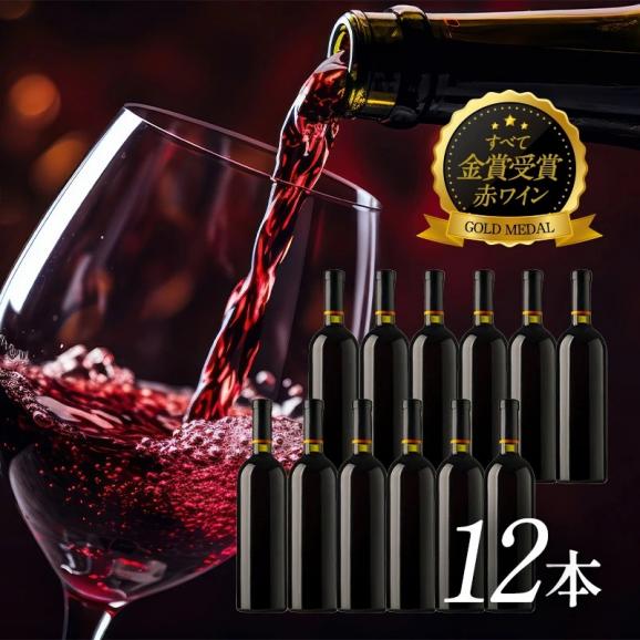 ワイン福袋（金賞赤ワイン12本セット）WT72［常温］【3〜4営業日以内に出荷】【送料無料】[W][WT72] ワイン 飲み比べ 福袋04