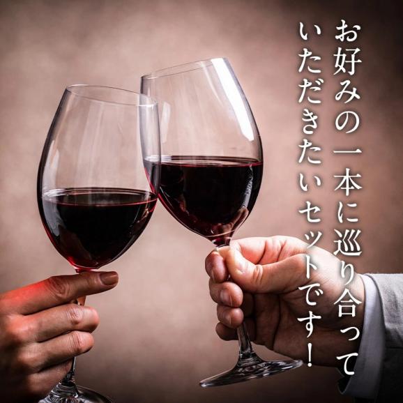 ワイン福袋（金賞赤ワイン12本セット）WT72［常温］【3〜4営業日以内に出荷】【送料無料】[W][WT72] ワイン 飲み比べ 福袋05