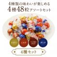 リンツ リンドールチョコレートアソート4種48個（メール便）リンドール リンツチョコ バレンタイン ホワイトデー lindt ギフト 小分け 【送料無料】【4～5営業日以内に出荷】