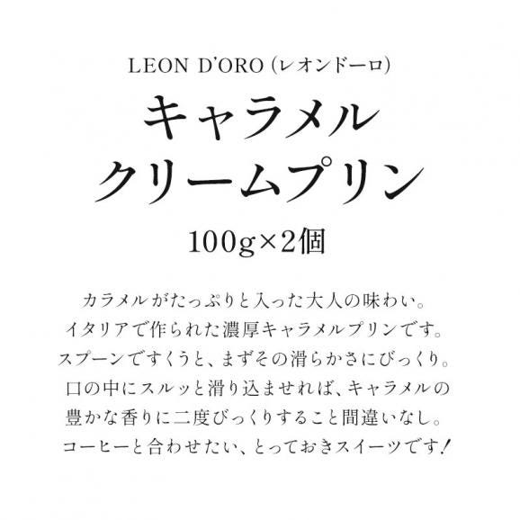 レオンドーロ キャラメルクリームプリン 5箱（1箱 100g×2個）［冷凍のみ］【3〜4営業日以内に出荷】［賞味期限：2025年1月31日］02