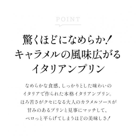 レオンドーロ キャラメルクリームプリン 5箱（1箱 100g×2個）［冷凍のみ］【3〜4営業日以内に出荷】［賞味期限：2025年1月31日］04