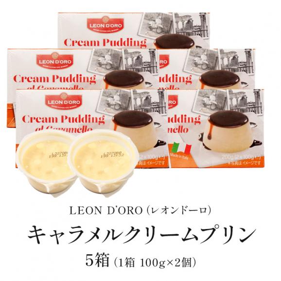 レオンドーロ キャラメルクリームプリン 5箱（1箱 100g×2個）［冷凍のみ］【3〜4営業日以内に出荷】［賞味期限：2025年1月31日］05