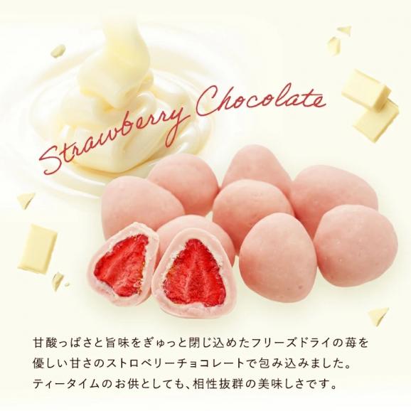 フリーズドライ苺チョコ ストロベリー 12個×3P 苺チョコ ［基本常温/全温度帯可］【4〜5営業日以内に出荷】【送料無料】苺トリュフ 苺チョコ プレゼント お返し 贈り物母の日 チョコ チョコレート03