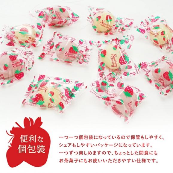 フリーズドライ苺チョコ ストロベリー 12個×3P 苺チョコ ［基本常温/全温度帯可］【4〜5営業日以内に出荷】【送料無料】苺トリュフ 苺チョコ プレゼント お返し 贈り物母の日 チョコ チョコレート04