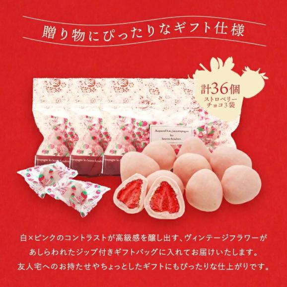 フリーズドライ苺チョコ ストロベリー 12個×3P 苺チョコ ［基本常温/全温度帯可］【4〜5営業日以内に出荷】【送料無料】苺トリュフ 苺チョコ プレゼント お返し 贈り物母の日 チョコ チョコレート05