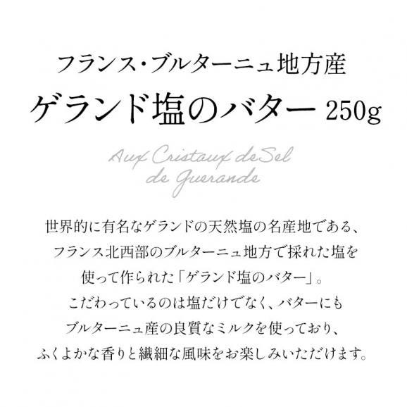 フランス産 ゲランド塩のバター 250g［冷蔵/冷凍可］【1〜2営業日以内に出荷】02