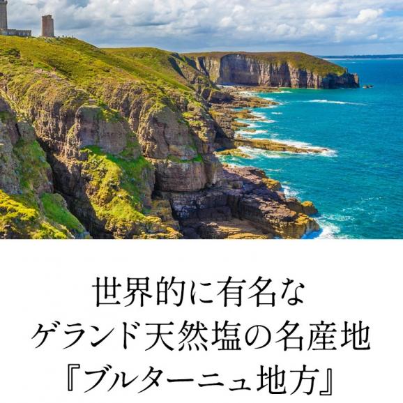 フランス産 ゲランド塩のバター 250g［冷蔵/冷凍可］【1〜2営業日以内に出荷】03