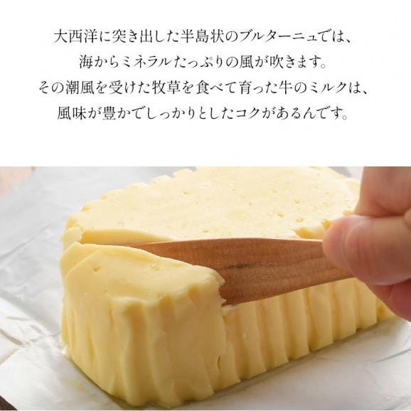 フランス産 ゲランド塩のバター 250g［冷蔵/冷凍可］【1〜2営業日以内に出荷】04