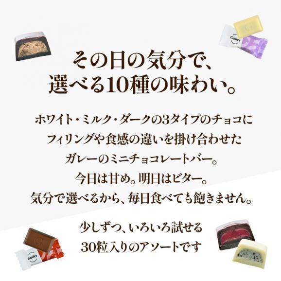 ガレー ミニチョコレート 10種30粒［メール便］【送料無料】【1～2営業日以内に出荷】02
