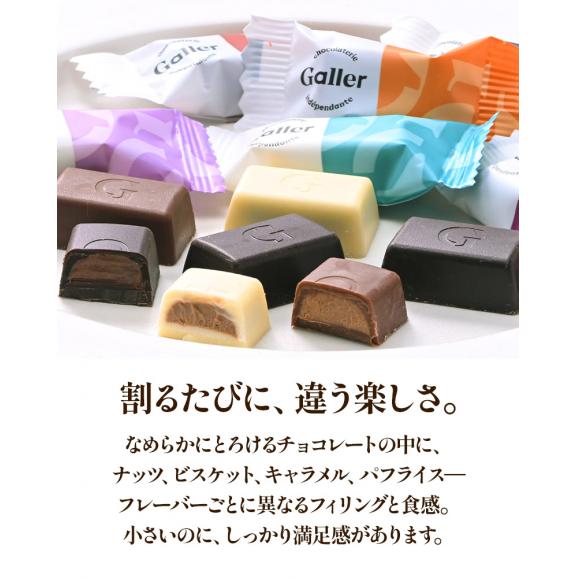 ガレー ミニチョコレート 10種30粒［メール便］【送料無料】【1～2営業日以内に出荷】03