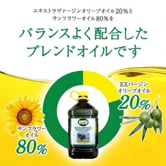 ルグリオ イタリア産 ブレンドオイル 5L［常温/冷蔵も可]【3〜4営業日以内に出荷】【送料無料】02