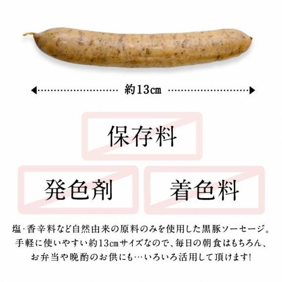 セレストオリジナル 保存料・着色料・発色剤不使用・無添加 ソーセージ（黒豚使用）1kg［冷凍のみ］【1〜2営業日以内に出荷】[M]04