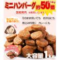 ハンバーグ メガ盛り約50個 一口サイズのミニハンバーグ(国産鶏使用)1kg