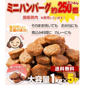 【送料無料】ハンバーグ！メガ盛り約250個　一口サイズのミニハンバーグ(国産鶏使用)1kg×5P