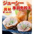 手羽先餃子(5本入り) 【手羽先餃子】おかずの一品に!!簡単調理
