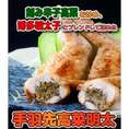 手羽先高菜明太 (5本パック)【手羽先餃子】鮮度、味、産地、全てにこだわり 簡単調理