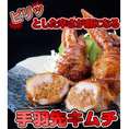 手羽先キムチ (5本パック)【手羽先餃子】鮮度、味、産地、全てにこだわり 簡単調理