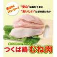 【送料無料】つくば鶏 むね肉 4kg(2kg2パックでの発送)(茨城県産)(特別飼育鶏)蒸したり サラダ 唐揚げに！この鶏肉は筑波山麓のふもとですくすくと育った鶏です