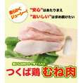 つくば鶏 むね肉 2kg(2kg1パックでの発送)(茨城県産)(特別飼育鶏)蒸したり サラダ 唐揚げに！この鶏肉は筑波山麓のふもとですくすくと育った鶏です