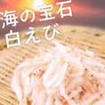 白えび 500g 海の宝石【生食可能】【台湾産】【白エビ 白海老 シロエビ しろえび】(nh169398)