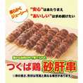 焼き鳥 国産つくば鶏 砂肝串！40ｇ×20本 コリコリした食感がたまらないつくば鶏を使った砂肝の焼き鳥！バーベキューに最適！【茨城県産】【焼き鳥/焼鳥/やきとり】