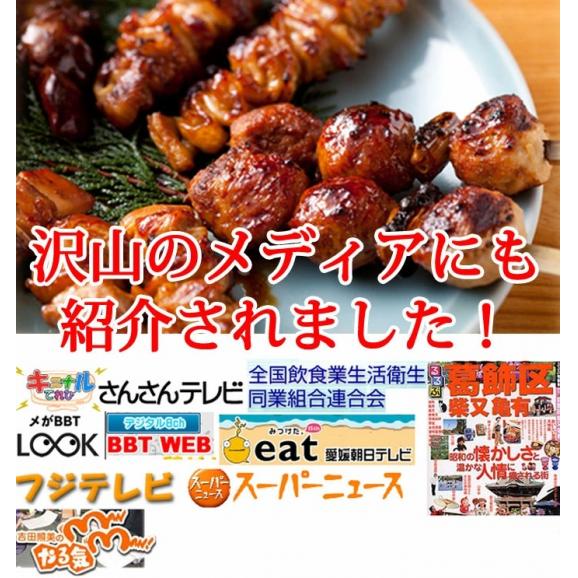 【送料無料】【news every.で紹介】焼き鳥丼の具！老舗の味！(200g×5P)鶏肉 焼き方にこだわった焼き鳥【茨城県産】【焼き鳥 焼鳥 やきとり】【鳥益】【訳あり】【湯せん】03