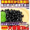 【送料無料】【同梱不可】野生種！ワイルドブルーベリー大容量１kg (SM00010048)