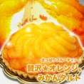 【送料無料】【同梱不可】さっぱりフルーティー！贅沢！オレンジ＆みかんタルト (SM00010086)