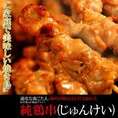 【送料無料】【同梱不可】ご家庭で美味しい焼き鳥！福井地元の絶品グルメ!!純鶏串(じゅんけい)どっさり20串(25g×20本) (NK00000014)