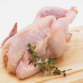 はかた地どり 小雛 丸 1羽 約400～700g(1パックでの発送) (福岡県産) (pr)(09790)味に定評がある軍鶏と旨味成分を豊富に含むサザナミの血を引く地鶏です。
