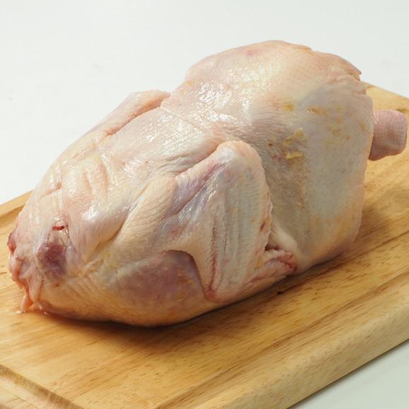 ひな鳥 丸鶏 約1.3kg(ブラジル産) (pr)(09060)01