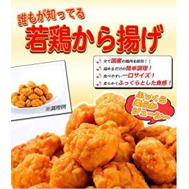 【送料無料】若どり唐揚げ 600g×2パック 国産鶏肉使用 お弁当 朝食に最適なお惣菜 おかず 【訳あり】【レンジでチン】