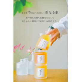  《期間限定30%オフSALE中》銀座イタリアンファビズ 伊和の塔 ギフトセット お酒 プレゼント ギフト 女性 誕生日 記念日 贈り物 贈答 梅酒ベジタブルブレンド 