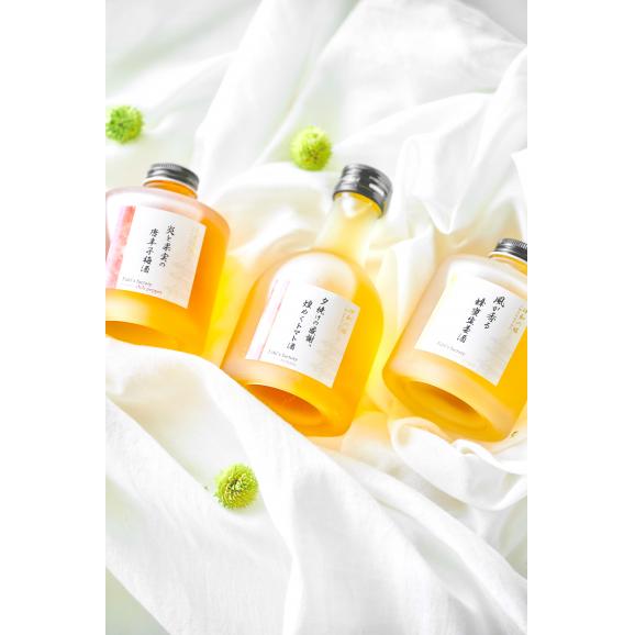 《期間限定30%オフSALE中》銀座イタリアンファビズ 伊和の塔 お酒 プレゼント ギフト 女性 誕生日 記念日 贈り物 贈答 梅酒 ベジタブルブレンド/ゴールドラッピング ギフトセット06