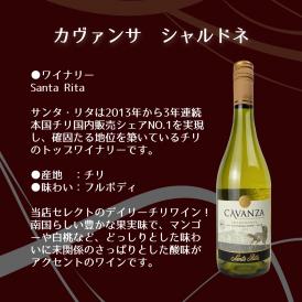 《在庫限り30%オフSALE中》【ソムリエ厳選ワイン ギフト】オーガニックワイン  シャルドネ 銀座 ソムリエ厳選  白 辛口 チリ