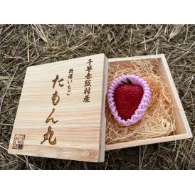 【【希少・高級】たもん丸　1粒入り（６0g以上）千早赤坂村産檜で作った専用木箱付き