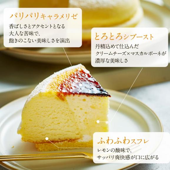 【 父の日 ギフト 】 ヒルナンデス スイーツ チーズケーキ 天空のチーズケーキ 誕生日 お礼 プチギフト 贈り物 バスクチーズケーキ04
