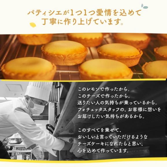 【 送料無料 ギフト 】 チーズタルト 9個 (箱入り) チーズケーキ タルト フロマージュ スイーツ イラスト プリント 入園 入学05