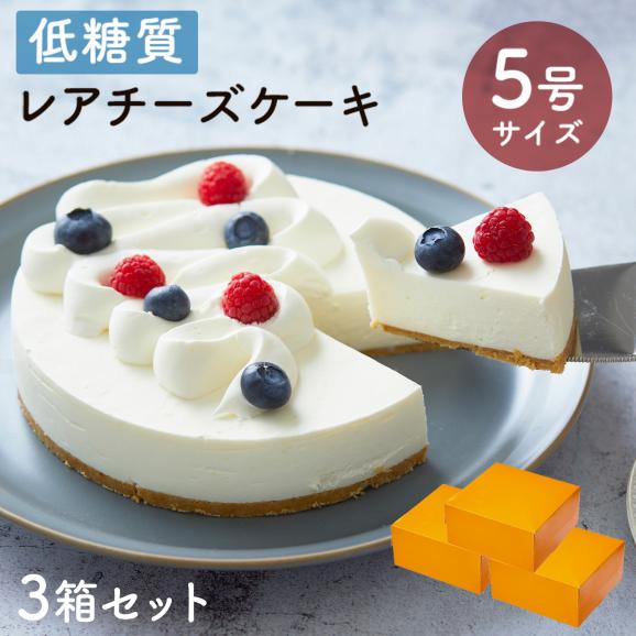 濃厚あっさりレア―チーズケーキ【5号】15cm - 菓子、デザート