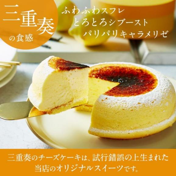 【 送料無料 ギフト 】 メッセージ チーズケーキ タルト フロマージュ 6個＆9個(箱入り) 天空のチーズケーキ スフレ 5号 2箱 セット04