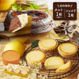 【 父の日 ギフト 】 メッセージ チーズケーキ タルト フロマージュ 6個(箱入り) 天空のチーズケーキ ショコラ セット お菓子 お取り寄せス