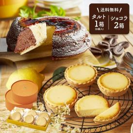 【 父の日 ギフト 】 メッセージ チーズケーキ タルト フロマージュ 6個(箱入り) 天空のチーズケーキ 2箱 ショコラ セット お菓子 お取り