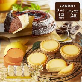 【 父の日 ギフト 】 メッセージ チーズケーキ タルト フロマージュ 9個(箱入り) 天空のチーズケーキ 2箱 ショコラ セット お菓子 お取り